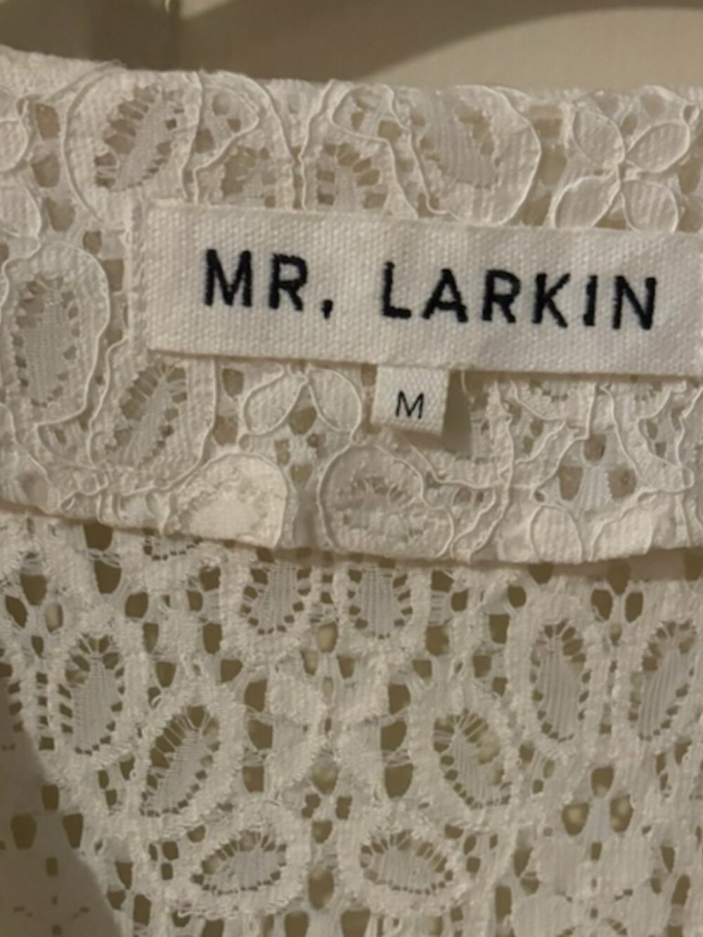 Designer Lace Bridal Shower Dress - Ivory - Mr. Larkin - Size M - Never Worn!!! - Picture 2 of 5
